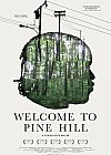 Welcome to Pinehill
